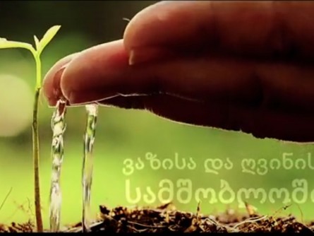 ZEARIS - Touch and you will feel, how Georgia loves you